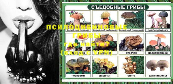 гашик Волосово