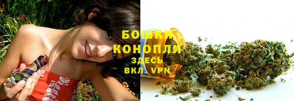 гашик Волосово