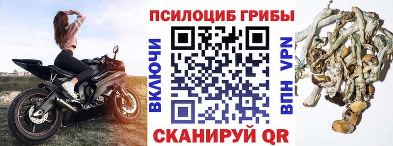 Купить закладки  Урень  Галлюциногенные грибы мухоморы 